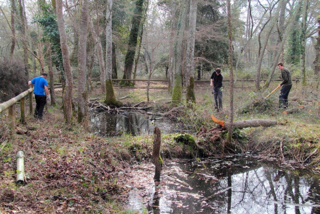 VOLONTANFIBI 2014: Parco Regionale MSRM